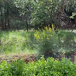 Hébergement de vacances Salagou - Vue Sur Le - 34800 - 6-8 Pers - 100m2