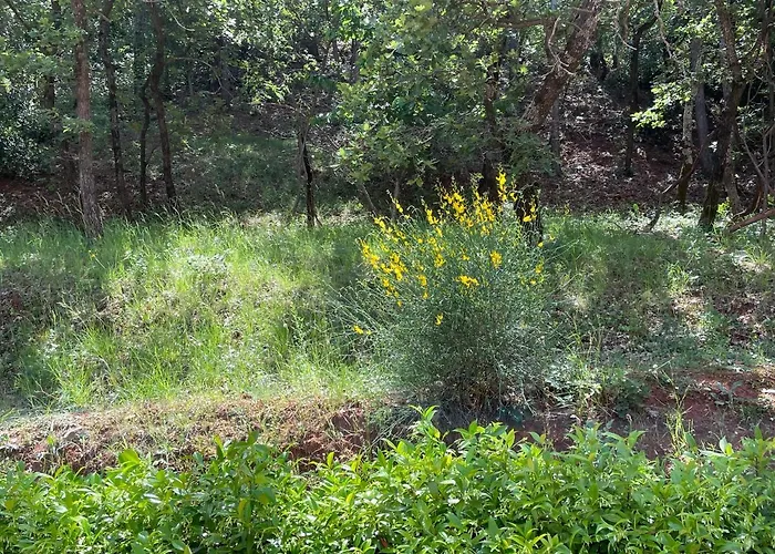 Σπίτι διακοπών Salagou - Vue Sur Le - 34800 - 6-8 Pers - 100m2